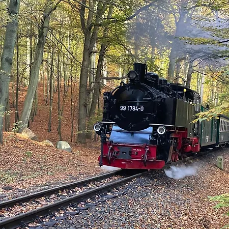 Residenz Margarete Mit Balkon Und Strandnah Apartamento